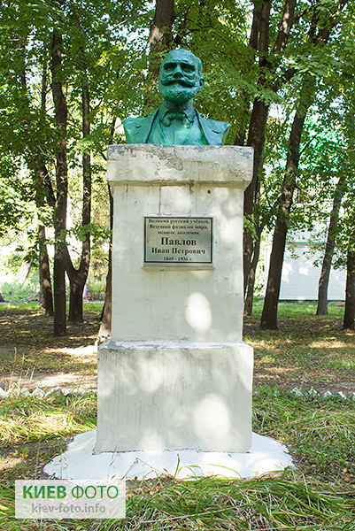 Памятник Павлову Ивану (в больнице Павлова)