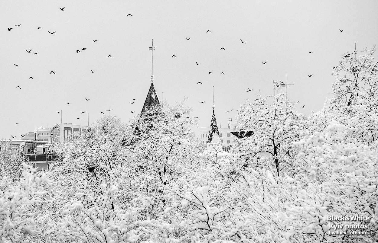 25 волшебных черно-белых фото зимнего Киева