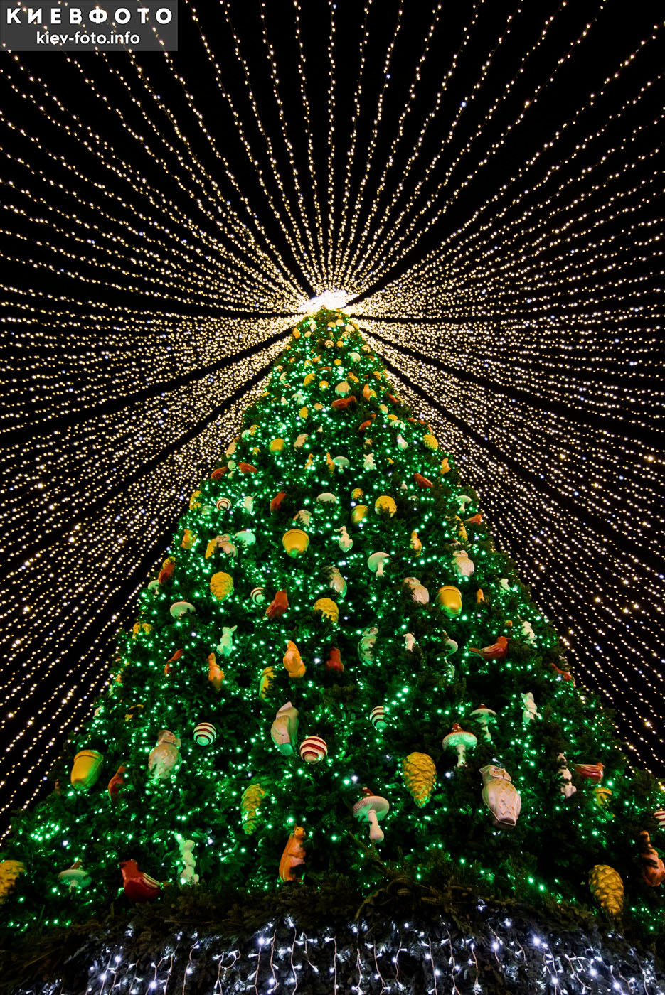 Новогодняя елка на Софийской площади 2021