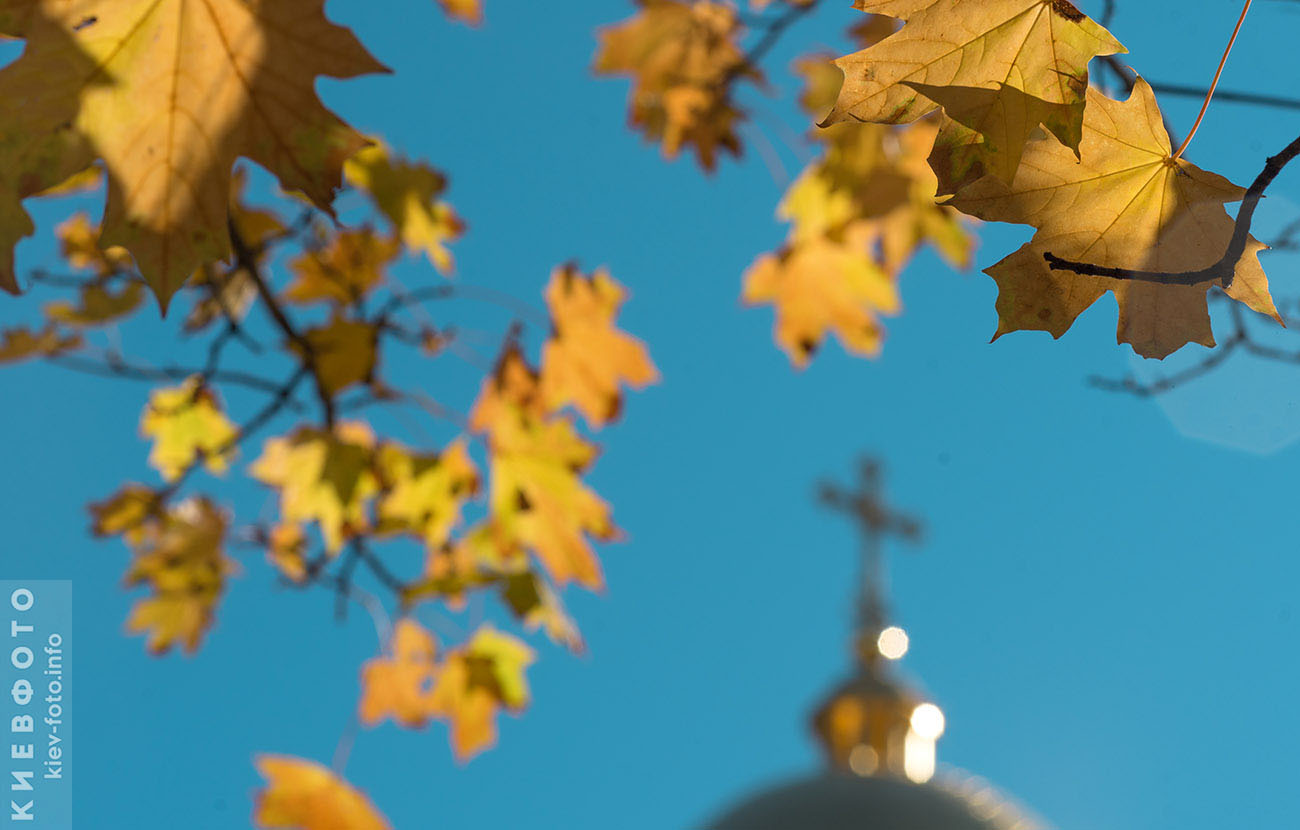 Подборка осенних фотографий начала золотой осени в Елизаветинском парке в Ликограде на Теремках-2.
