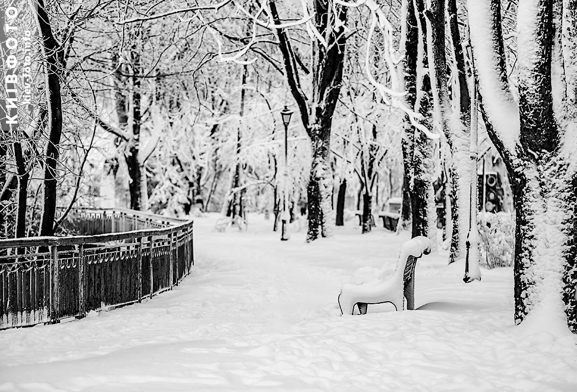 Киев в белом: 20 зимних фото