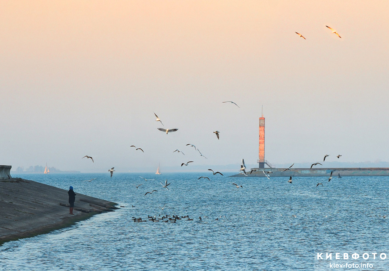 Осеннее вечернее Киевское море с чайками